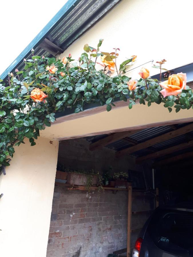 Casa Relax Immersa Nel Verde Della Natura Casalborgone Exterior foto