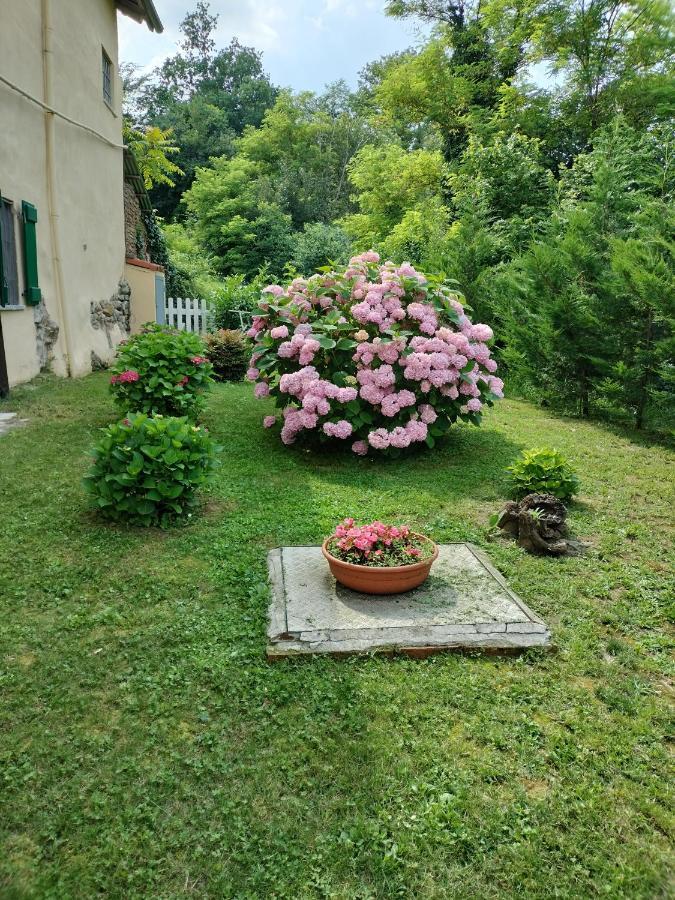 Casa Relax Immersa Nel Verde Della Natura Casalborgone Exterior foto